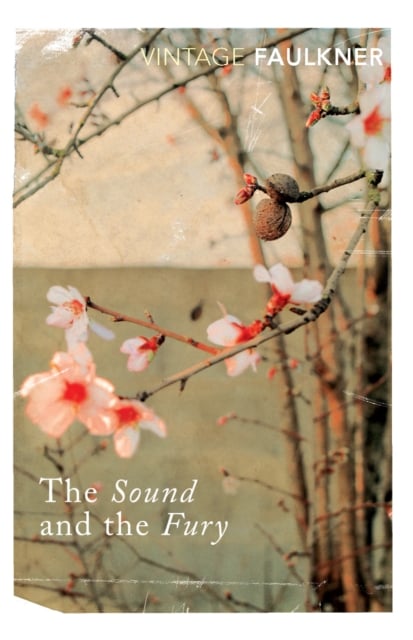 Book cover of The Sound and the Fury