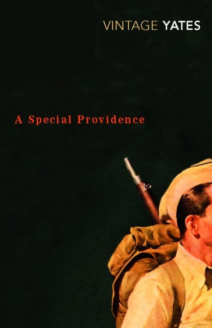 Book cover of A Special Providence
