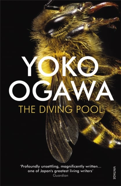 Book cover of The Diving Pool