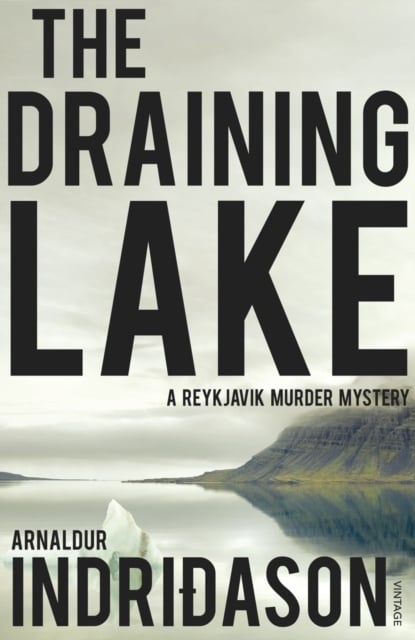 Book cover of The Draining Lake