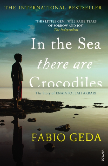 Book cover of In the Sea There Are Crocodiles