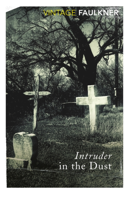 Book cover of Intruder in the Dust