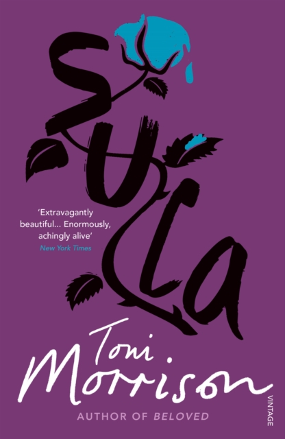 Book cover of Sula