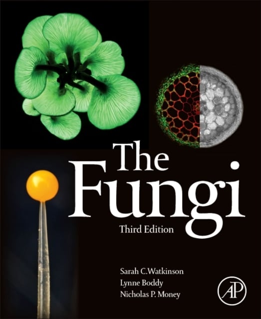 Book cover of The Fungi