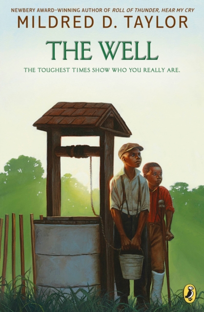 Book cover of The Well