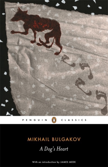 Book cover of A Dog's Heart