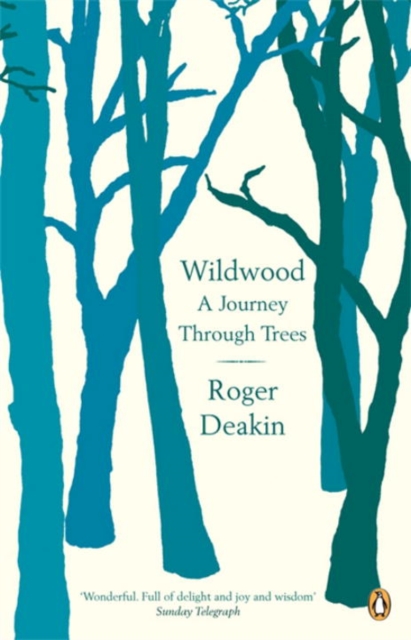 Book cover of Wildwood
