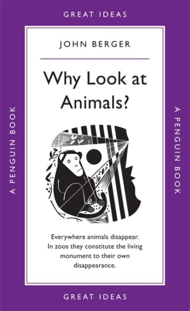 Book cover of Why Look at Animals?