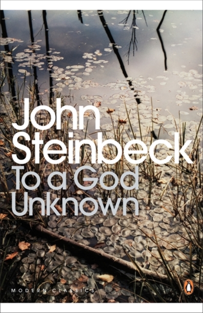 Book cover of To a God Unknown