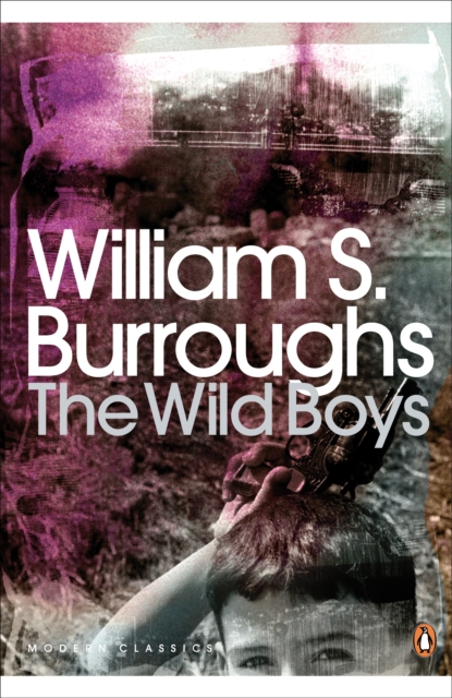 Book cover of The Wild Boys
