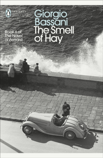 Book cover of The Smell of Hay