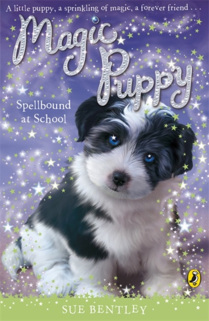 Book cover of Magic Puppy: Spellbound at School