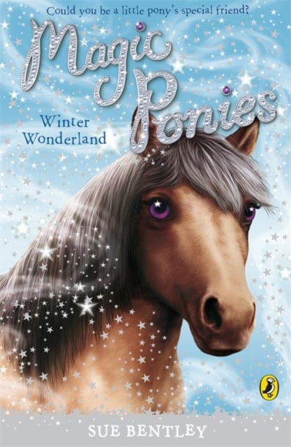 Book cover of Magic Ponies: Winter Wonderland