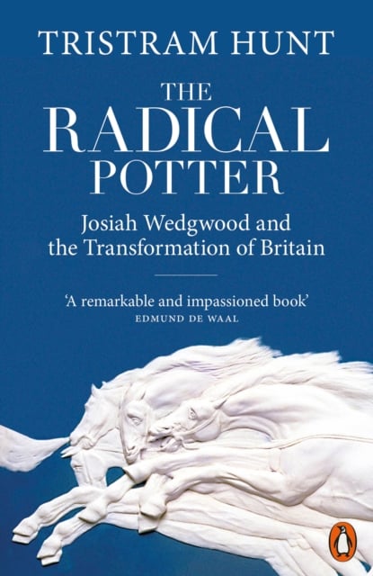 Book cover of The Radical Potter