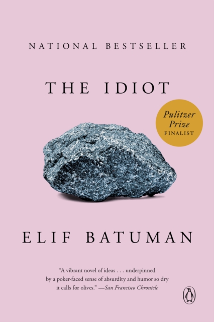Book cover of The Idiot