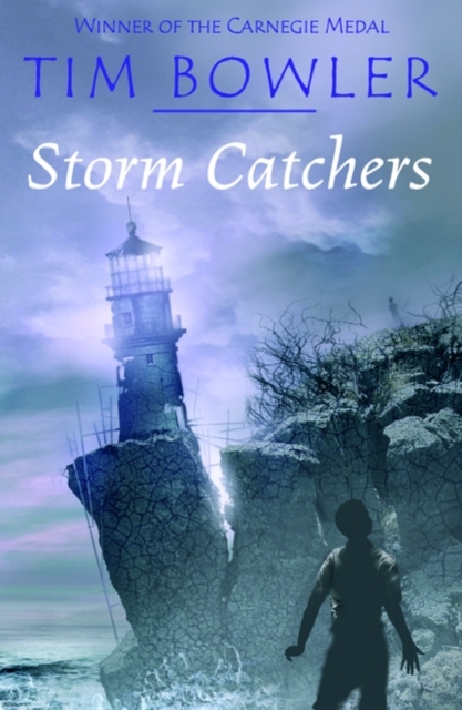 Book cover of Storm Catchers