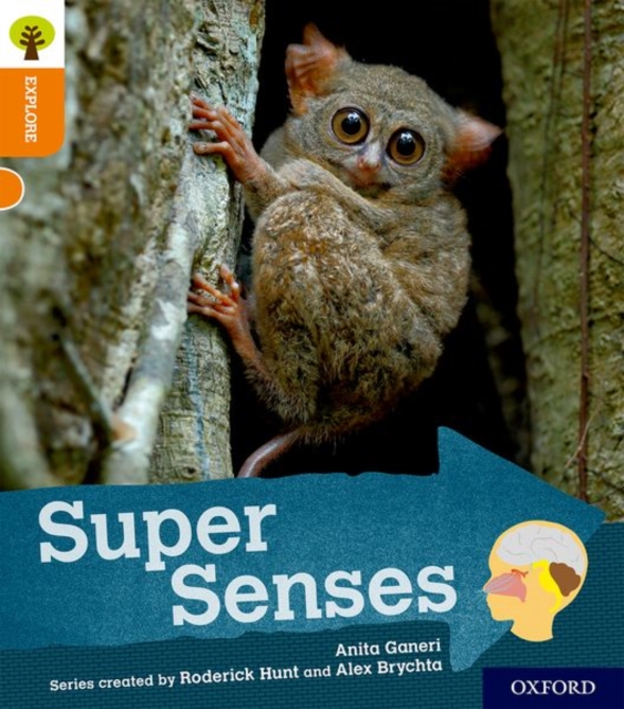 Book cover of Oxford Reading Tree Explore with Biff, Chip and Kipper: Oxford Level 6: Super Senses