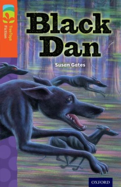 Book cover of Oxford Reading Tree TreeTops Fiction: Level 13 More Pack A: Black Dan