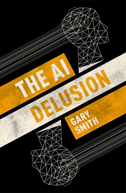 Book cover of The AI Delusion