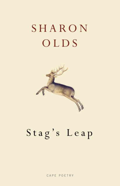 Book cover of Stag's Leap