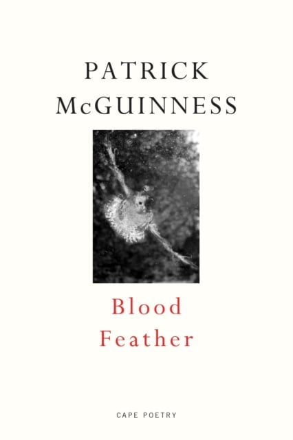 Book cover of Blood Feather