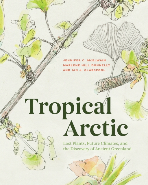 Book cover of Tropical Arctic