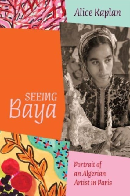 Book cover of Seeing Baya