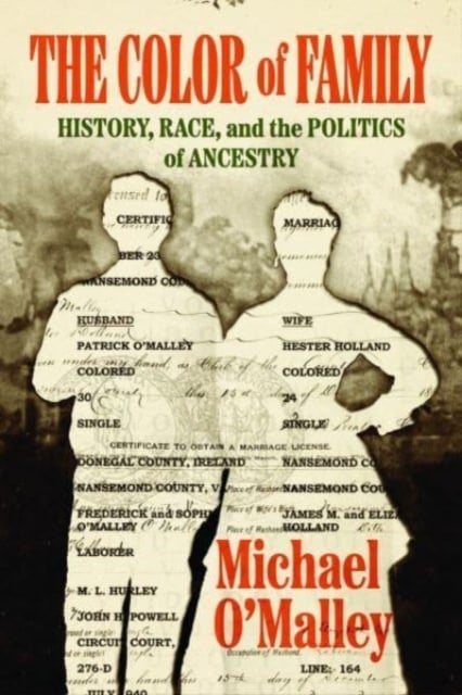 Book cover of The Color of Family