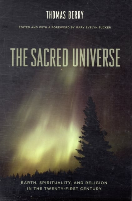 Book cover of The Sacred Universe