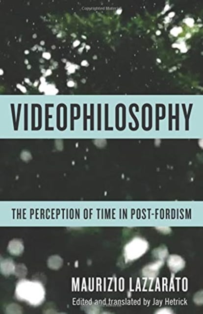 Book cover of Videophilosophy