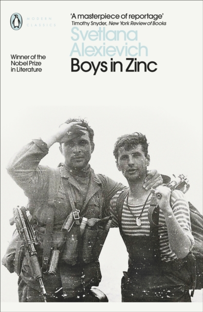 Book cover of Boys in Zinc