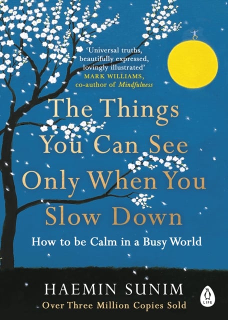 Book cover of The Things You Can See Only When You Slow Down