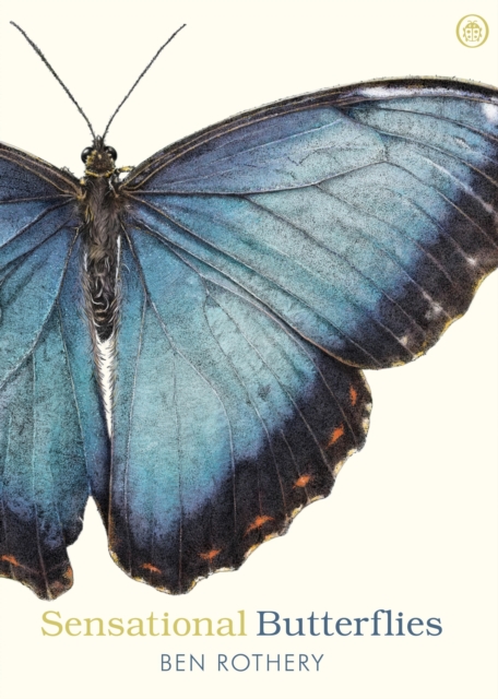 Book cover of Sensational Butterflies