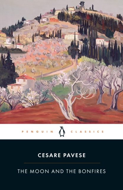 Book cover of The Moon and the Bonfires
