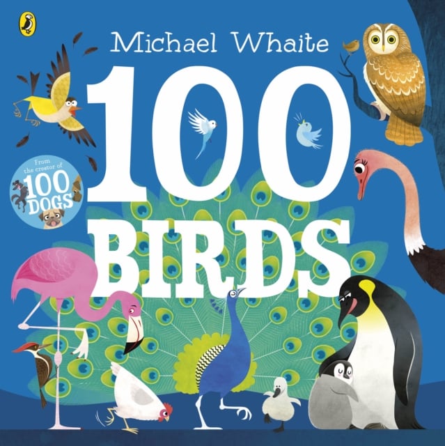 Book cover of 100 Birds