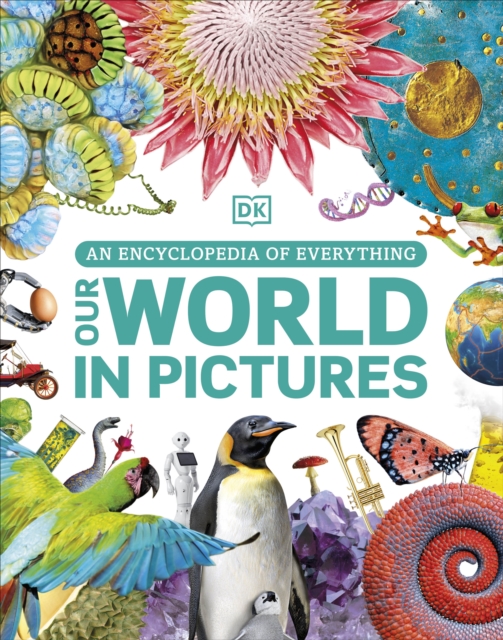 Book cover of Our World in Pictures