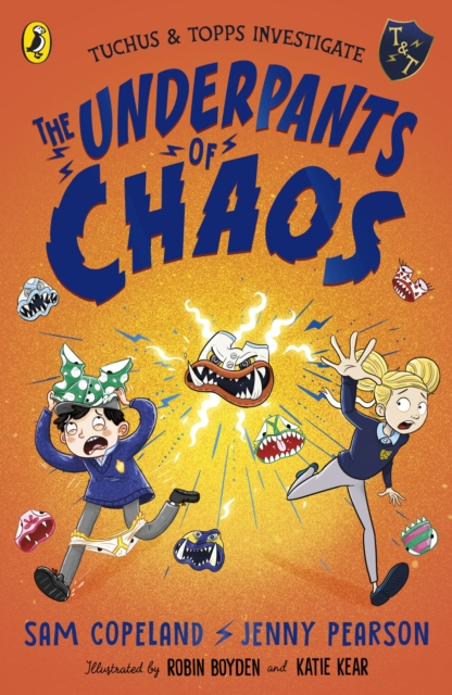 Book cover of The Underpants of Chaos