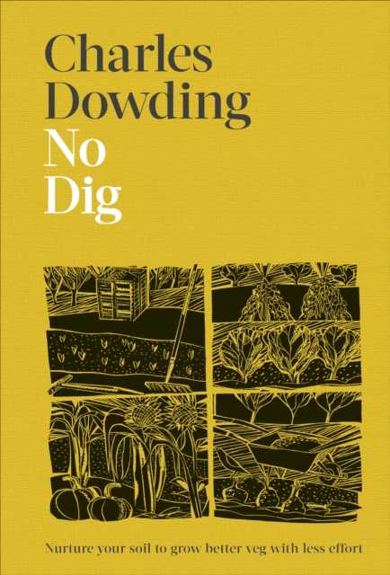 Book cover of No Dig