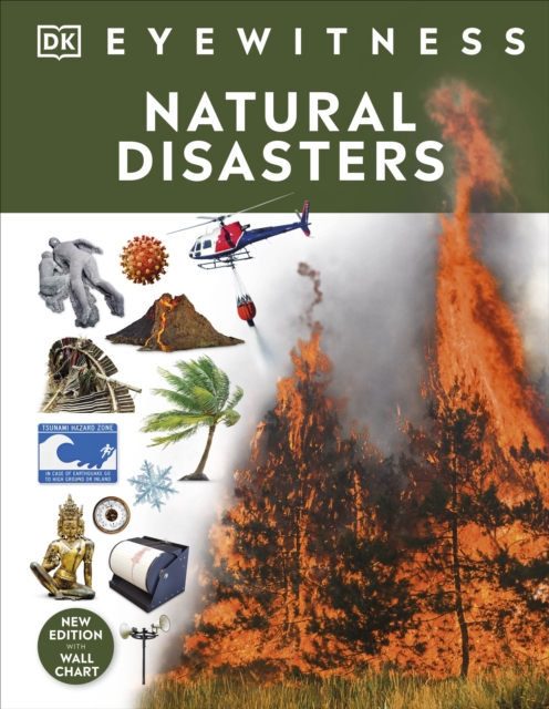 Book cover of Natural Disasters