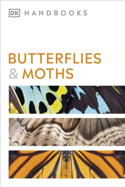 Book cover of Butterflies and Moths