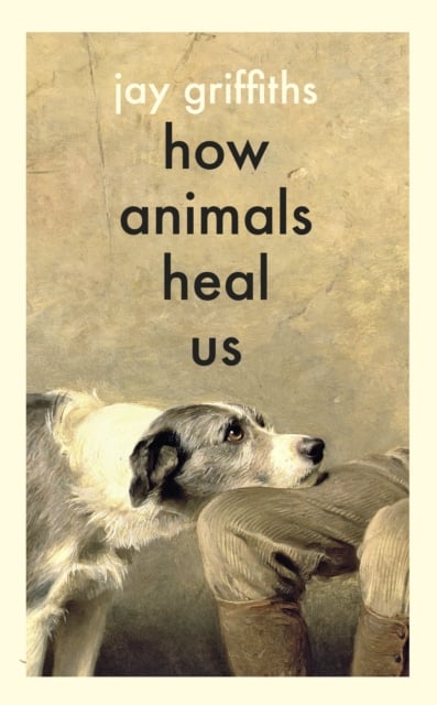 Book cover of How Animals Heal Us