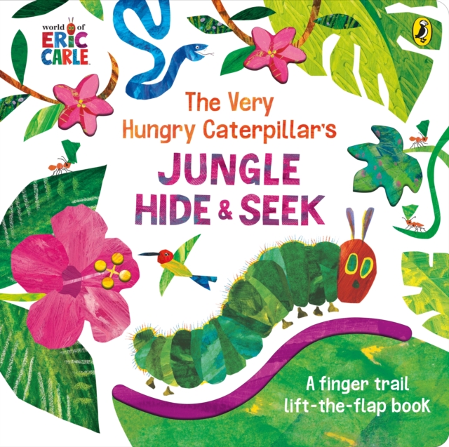 Jungle - Hide & Seek