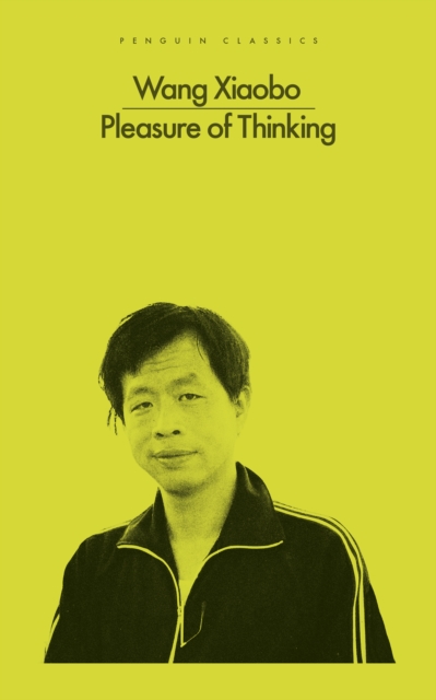 Book cover of Pleasure of Thinking