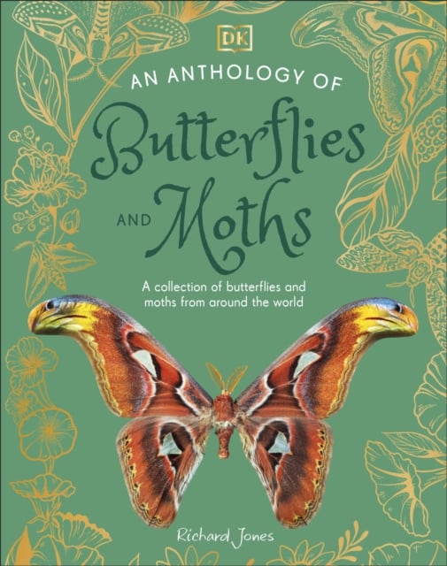 Book cover of An Anthology of Butterflies and Moths