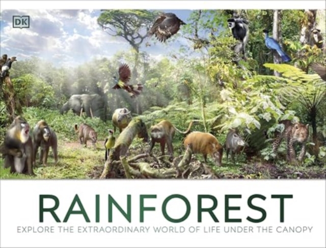Book cover of Rainforest