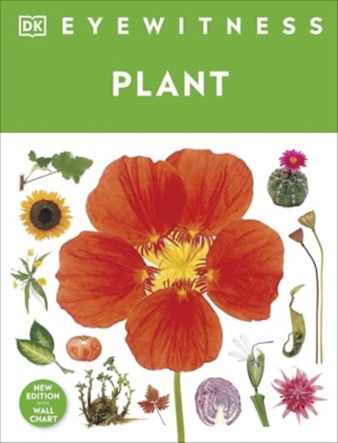 Book cover of Eyewitness Plant