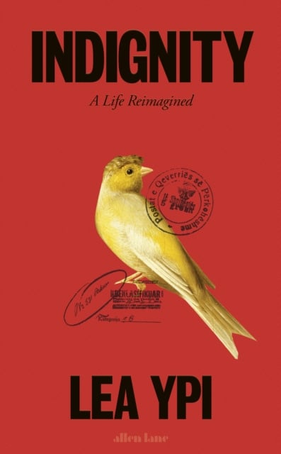 Book cover of Indignity