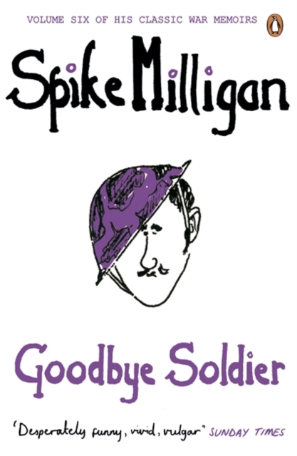 Book cover of Goodbye Soldier