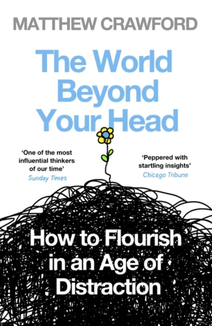 Book cover of The World Beyond Your Head
