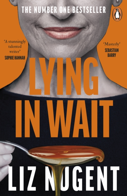 Book cover of Lying in Wait